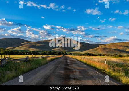 USA, Idaho, Bellevue, strada sterrata che conduce alle colline pedemontane la mattina d'estate Foto Stock
