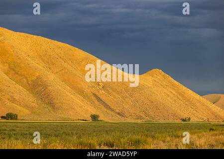 USA, Idaho, Bellevue, colline illuminate dalla luce del sole del pomeriggio Foto Stock