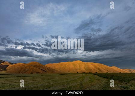 USA, Idaho, Bellevue, colline illuminate dalla luce del sole del pomeriggio Foto Stock