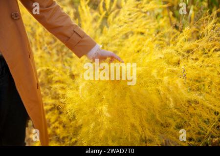 Donna in trench che tocca il raccolto Foto Stock