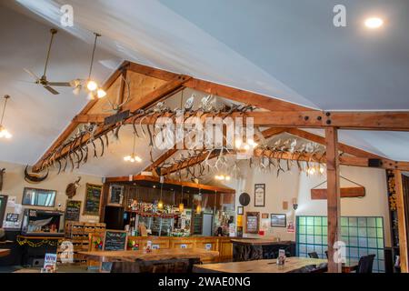 Haast nuova zelanda 14 dicembre 2023: The Hunting Trophies, un sacco di palchi appesi alla trave del ristorante locale "The Hard Antler". Anche testa animale. Foto Stock