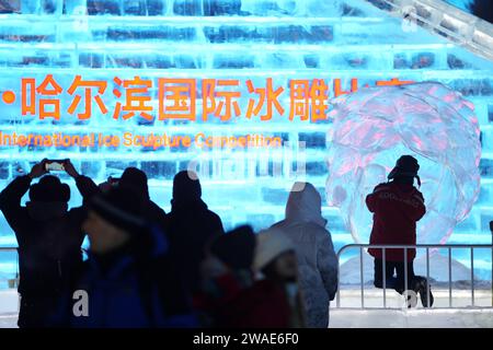 (240104) -- HARBIN, 4 gennaio 2024 (Xinhua) -- i turisti guardano come un concorrente lavora su una scultura di ghiaccio durante la 35a China Harbin International Ice Sculpture Competition all'Harbin Ice-Snow World di Harbin, nella provincia di Heilongjiang nella Cina nordorientale, 2 gennaio 2024. La provincia di Heilongjiang ha abbondanti risorse di ghiaccio e neve, rendendola una destinazione popolare per il turismo invernale in Cina e attirando numerosi turisti dalla patria e dall'estero durante le vacanze di Capodanno. La "città del ghiaccio" Harbin, la capitale della provincia di Heilongjiang, ha accolto quasi 3,05 milioni di visitatori, rastrellando 5,91 miliardi di yuan (abo Foto Stock