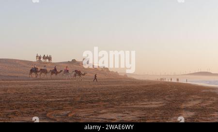 Un gruppo di cammelli si dirige su una spiaggia sabbiosa al tramonto con un parco eolico alle spalle nella città di Essaouira, Marocco, 3 gennaio 2024 Foto Stock