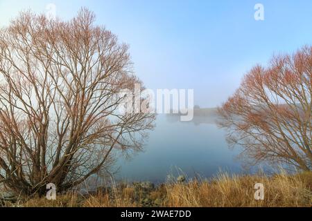 Un lago nebbioso circondato da alberi in una fredda mattinata autunnale. Preso al lago Benmore, Otago, nuova Zelanda Foto Stock