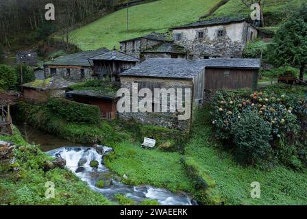 OS Teixois a Taramundi, Asturias, Spagna Foto Stock