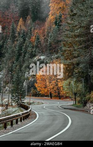 Strada sinuosa vuota circondata da alberi autunnali vicino a Kranjska gora in Slovenia Foto Stock