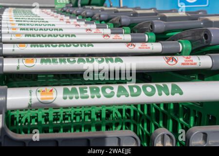 Manacor, Spagna; 02 gennaio 2024: Carrelli della catena internazionale di supermercati Mercadona. Manacor, isola di Maiorca, Spa Foto Stock