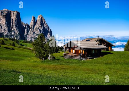Campagna agricola collinare con case in legno presso l'Alpe di Siusi, il monte Sciliar, lo Sciliar, in lontananza. Foto Stock