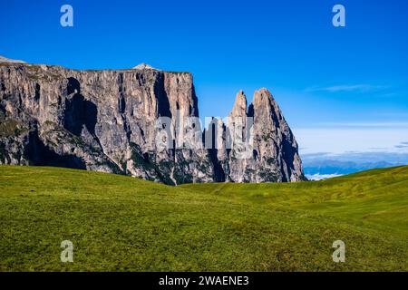 Campagna agricola collinare con il monte Sciliar, Sciliar presso l'Alpe di Siusi. Foto Stock