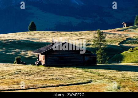 Campagna agricola collinare con capanne e alberi in legno presso l'Alpe di Siusi. Foto Stock