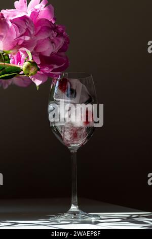 Cubetti di ghiaccio congelati con frutta in un bicchiere di vino Foto Stock