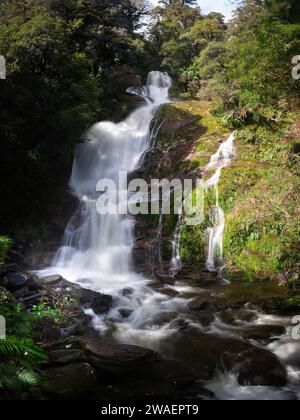 Un paesaggio mozzafiato caratterizzato da una serena cascata che scende in una lussureggiante foresta verde. Foto Stock