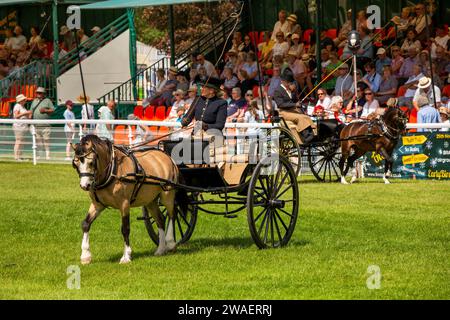 Regno Unito, Inghilterra, Worcestershire, Malvern Wells, Royal 3 Counties Show, Main Arena, Concours d’Elegance Carriage competitors Foto Stock