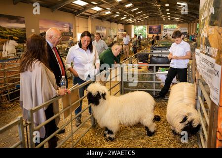 Regno Unito, Inghilterra, Worcestershire, Malvern Wells, Royal 3 Counties Show, Valais Blacknose pecore del gregge di Sammia Shail da Birtmorton, Malvern al coperto Foto Stock