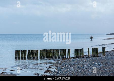 Inguine, fisher, Falshöft, Geltinger Birk, Gelting, Schleswig-Holstein, Germania Foto Stock