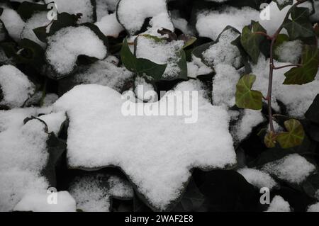 Copenaghen, Danimarca /04 gennaio 2024/caduta di neve e clima freddo capitale danese.. (Foto: Francis Joseph Dean/Dean Pictures) Foto Stock