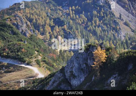 Piccolo pascolo montano nelle montagne intorno a Berchtesgaden, vicino al monte Jenner, Baviera Foto Stock