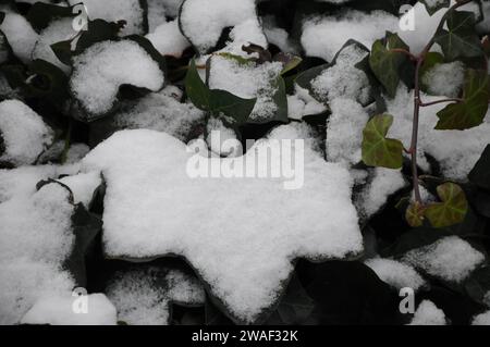 Copenaghen, Danimarca /04 gennaio 2024/caduta di neve e clima freddo capitale danese.. Foto: Francis Joseph Dean/Dean Pictures Foto Stock