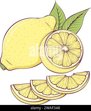 Natura morta con limone intero e tagliato Illustrazione Vettoriale