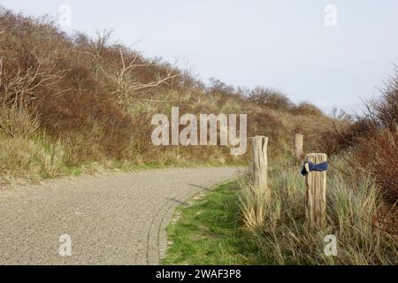 Un percorso attraverso un prato erboso in una giornata nuvolosa Foto Stock