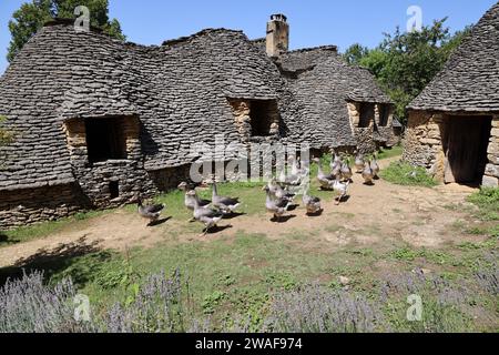 Le famose oche del Périgord tra le Cabanes du Breuil. Queste tipiche cabine Périgord Noir sono annessi agricoli del XIX secolo costruiti in pietra secca Foto Stock