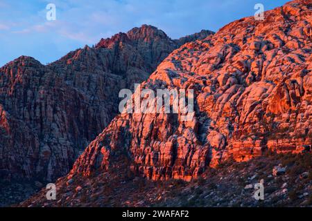 Sandstone Bluffs a Willow Spring / Lost Creek, Red Rock Canyon National Conservation area, Nevada Foto Stock