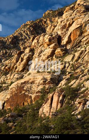 Sandstone Bluffs a Willow Spring / Lost Creek, Red Rock Canyon National Conservation area, Nevada Foto Stock