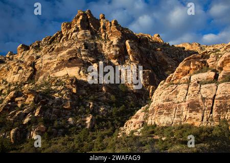 Sandstone Bluffs a Willow Spring / Lost Creek, Red Rock Canyon National Conservation area, Nevada Foto Stock