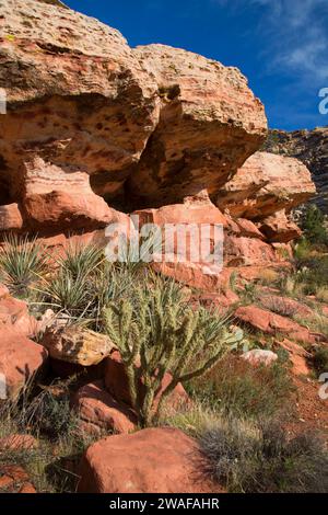 Rock shelter lungo Lost Creek Trail, il Red Rock Canyon National Conservation Area, Nevada Foto Stock