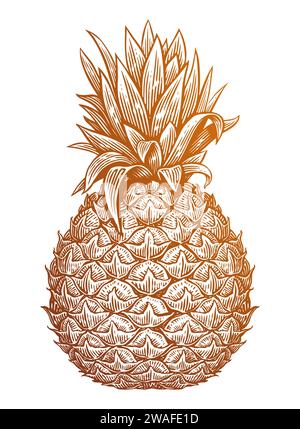 Ananas con foglie, disegnato a mano. Illustrazione vettoriale dello schizzo di frutti tropicali Illustrazione Vettoriale