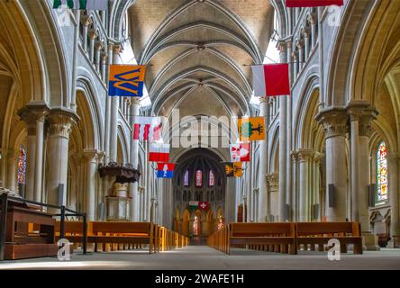 La cattedrale di Notre Dame di Losanna in Svizzera Foto Stock