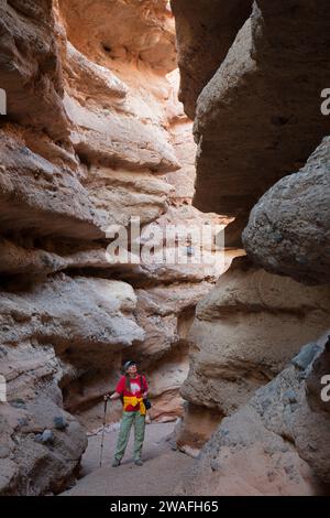 Owl Canyon Lake Mead National Recreation Area, Nevada Foto Stock