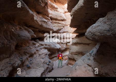 White Owl Canyon, Lake Mead National Recreation area, Nevada Foto Stock