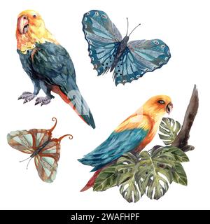 Illustrazione vintage ad acquerello con pappagalli gialli e farfalle tra foglie tropicali su sfondo bianco. Isolare. Per il design della carta da parati. Foto Stock