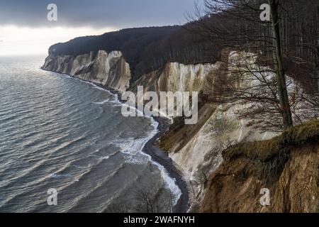 Die Steilküste mit den Kreidefelsen im Nationalpark Jasmund zwischen Sassnitz und dem Königstuhl in Stubbenkammer auf der Ostseeinsel Rügen Landkreis Vorpommern-Rügen in Meclemburgo-Vorpommern. *** Le scogliere con le scogliere di gesso nel Parco Nazionale di Jasmund tra Sassnitz e il Königstuhl a Stubbenkammer sull'isola del Mar Baltico di Rügen distretto di Vorpommern Rügen nel Meclemburgo-Vorpommern Foto Stock