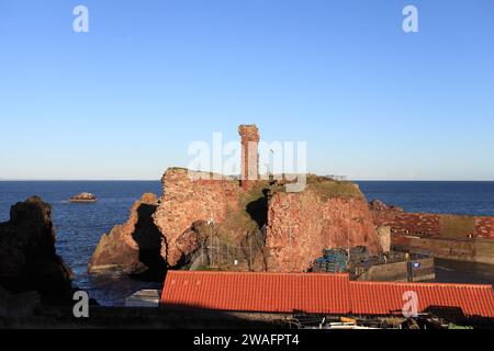 Aragosta e granchio, con Dunbar rovine castello sullo sfondo, Dunbar, East Lothian, Scozia Foto Stock