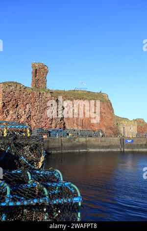 Aragosta e granchio, con Dunbar rovine castello sullo sfondo, Dunbar, East Lothian, Scozia Foto Stock