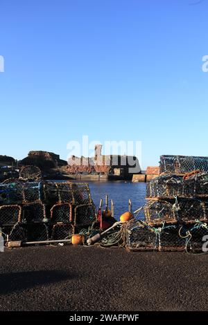 Aragosta e granchio, con Dunbar rovine castello sullo sfondo, Dunbar, East Lothian, Scozia Foto Stock