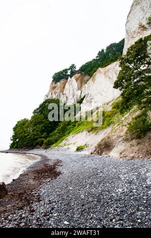 Bianche scogliere calcaree con vegetazione verde lungo una spiaggia di ghiaia sulla costa orientale della Danimarca, nella parte danese del Mar Baltico. Su sfondo bianco Foto Stock