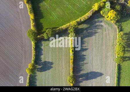 Vista aerea sulla campagna che mostra il paesaggio di bocage con campi, prati e pascoli, mosaico di appezzamenti protetti da siepi e siepi in autunno Foto Stock