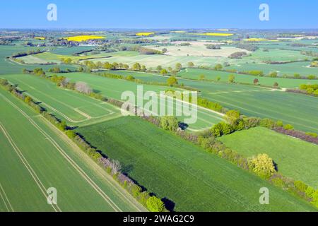 Vista aerea sul paesaggio rurale del bocage con campi e pascoli, mosaico di appezzamenti circondati da siepi e siepi, Schleswig-Holstein, Germania Foto Stock