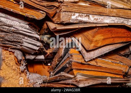 vecchi libri in soffitta macchiati da topi Foto Stock