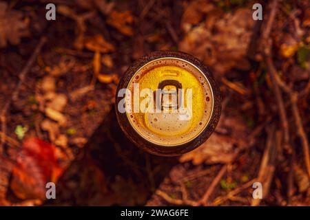 una lattina di birra aperta con schiuma nella foresta Foto Stock