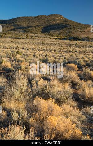 Kobeh Valley, Monte Lewis District Bureau of Land Management, Nevada Foto Stock