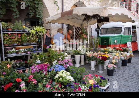 Ville d'Eymet, città di bastide, nella regione sud-occidentale della Dordogna, con una fiorente piazza del mercato, situata sulle rive del fiume Dropt, Francia, Europa. Foto Stock