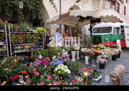 Ville d'Eymet, città di bastide, nella regione sud-occidentale della Dordogna, con una fiorente piazza del mercato, situata sulle rive del fiume Dropt, Francia, Europa. Foto Stock