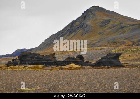 Lava Field a nord-est di Hella, Islanda Foto Stock