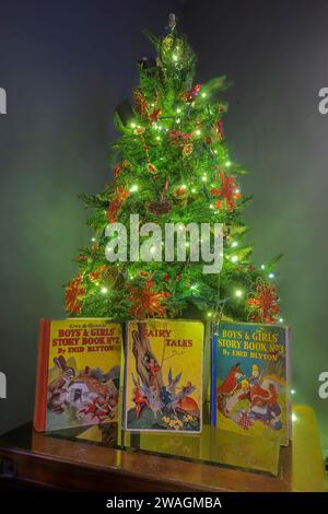 Libri d'epoca e albero di Natale Foto Stock