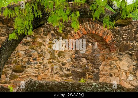 Rovine di parete a Mission Espada, San Antonio Missions National Historical Park, Texas Foto Stock