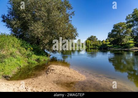 Le pianure alluvionali di Lippe nei pressi di Olfen, riserva naturale lungo il fiume, NRW, Germania Foto Stock